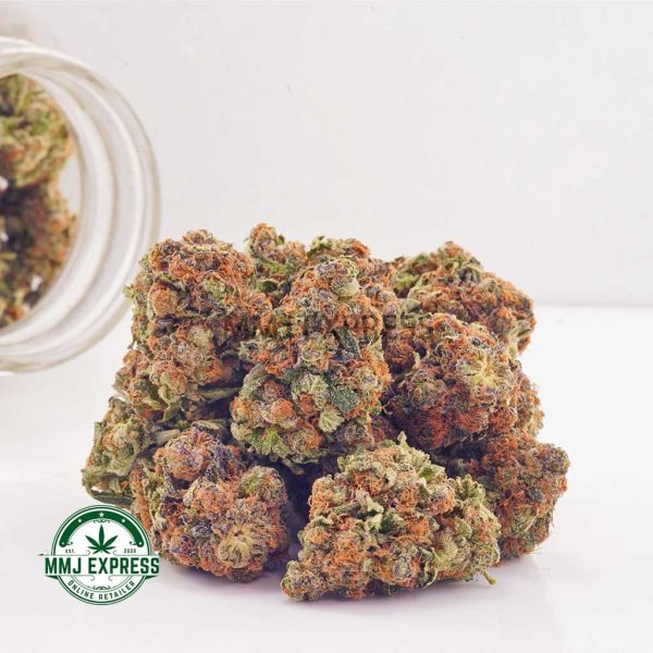 Buy Cannabis King Tut AAA at MMJ Express Online Shop