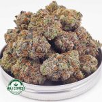 Buy Cannabis Jet Fuel AAAA at MMJ Express Online Shop