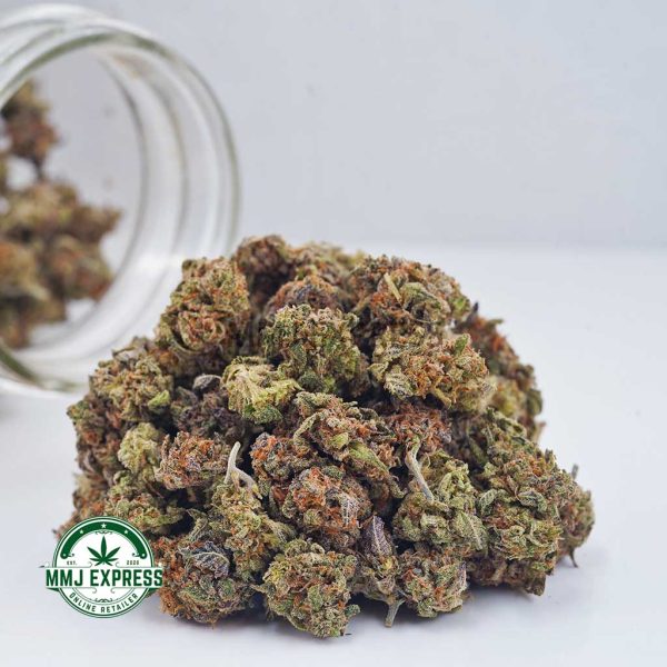 Buy Cannabis Purple Haze AAAA (Popcorn) at MMJ Express Online Shop