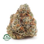 Buy Cannabis Passion Fruit Lemonade AAA at MMJ Express Online Shop