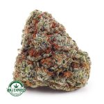 Buy Cannabis Cherry Pie AAA at MMJ Express Online Shop