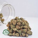 Buy Cannabis Sour Diesel AAAA at MMJ Express Online Shop