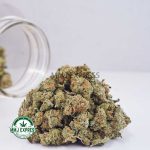 Buy Cannabis Guava Kush AAAA at MMJ Express Online Shop