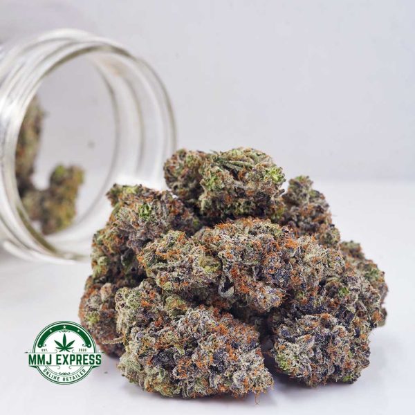 Buy Cannabis Mike Tyson Craft, AAAA+ at MMJ Express Online Shop