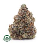 Buy Cannabis Rainbow Kush AAA at MMJ Express Online Shop