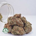 Buy Cannabis Rainbow Kush AAA at MMJ Express Online Shop