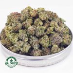 Buy Cannabis Bluefin Tuna AAAA at MMJ Express Online Shop