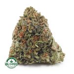 Buy Cannabis Pink Rockstar AAAA at MMJ Express Online Shop