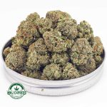 Buy Cannabis Pink Rockstar AAAA at MMJ Express Online Shop