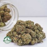 Buy Cannabis Pink Rockstar AAAA at MMJ Express Online Shop