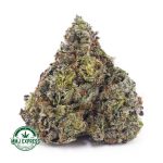 Buy Cannabis Supreme Gas Mask AAAA+, Craft at MMJ Express Online Shop