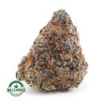 Buy Cannabis White Widow AAA at MMJ Express Online Shop