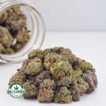 Buy Cannabis Pink Champagne AAAA (Popcorn Nugs) MMJ Express Online Shop