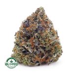 Buy Cannabis Hawaiian Pink Punch AAAA+, Craft at MMJ Express Online Shop