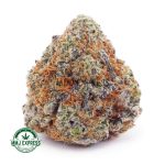 Buy Cannabis Dosi Cake AAA at MMJ Express Online Shop