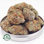 Buy Cannabis Dosi Cake AAA at MMJ Express Online Shop