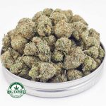 Buy Cannabis Slurricane AAAA (Popcorn Nugs) at MMJ Express Online Shop