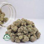 Buy Cannabis Slurricane AAAA (Popcorn Nugs) at MMJ Express Online Shop