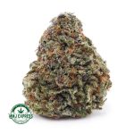 Buy Cannabis Pink Gas Mask AAAA+, Craft at MMJ Express Online Shop