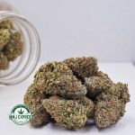 Buy Cannabis Pink Gas Mask AAAA+, Craft at MMJ Express Online Shop