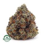 Buy Cannabis Blueberry Cheesecake AAAA at MMJ Express Online Shop