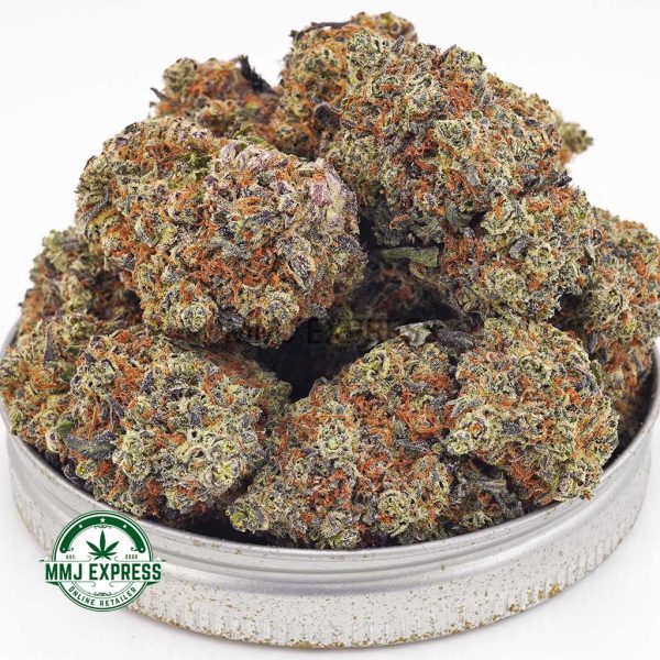 Buy Cannabis Blueberry Cheesecake AAAA at MMJ Express Online Shop