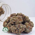 Buy Cannabis Blueberry Cheesecake AAAA at MMJ Express Online Shop