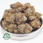 Buy Cannabis Khalifa Mints AAAA at MMJ Express Online Shop