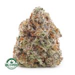 Buy Cannabis Miracle Alien Cookies Craft, AAAA+ at MMJ Express Online Shop