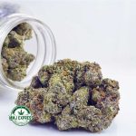 Buy Cannabis London Poundcake AAA at MMJ Express Online Shop