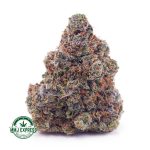 Buy Cannabis Rainbow Kush AAA at MMJ Express Online Shop