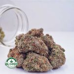 Buy Cannabis Rainbow Kush AAA at MMJ Express Online Shop