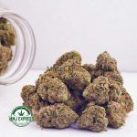 Buy Cannabis Strawberry Gelato AAA at MMJ Express Online Shop