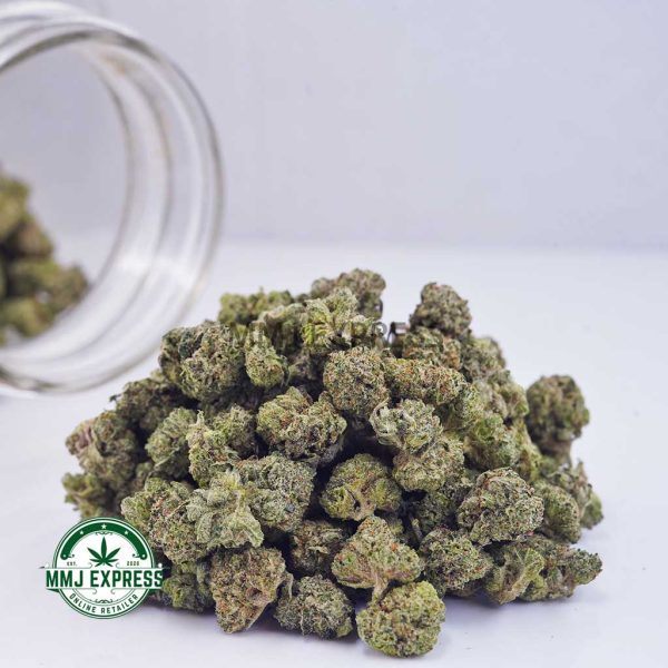 Buy Cannabis Tuna Kush AAAA (Popcorn Nugs) MMJ Express Online Shop