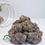 Buy Cannabis Tom Ford Pink Kush AAAA+, Craft at MMJ Express Online Shop