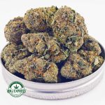 Buy Cannabis Blackberry Kush AAA at MMJ Express Online Shop