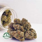 Buy Cannabis Blackberry Kush AAA at MMJ Express Online Shop