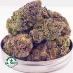 Buy Cannabis El Chapo AAA at MMJ Express Online Shop