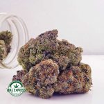 Buy Cannabis El Chapo AAA at MMJ Express Online Shop