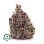 Buy Cannabis LA Confidential AAAA at MMJ Express Online Shop