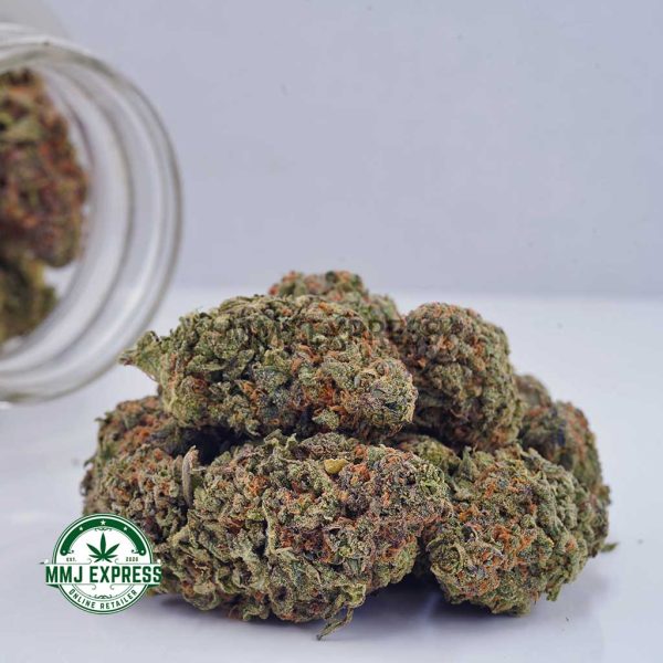 Buy Cannabis Girl Scout Cookies AAA at MMJ Express Online Shop