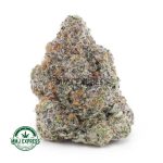 Buy Cannabis Supreme Khalifa Mint AAAA+, Craft at MMJ Express Online Shop