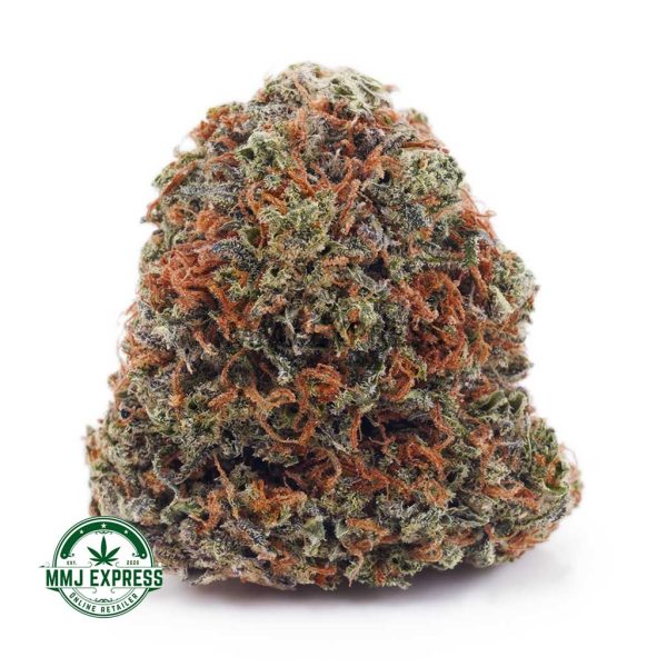 Buy Cannabis Cherry Pie AAA at MMJ Express Online Shop