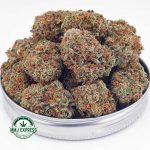 Buy Cannabis Cherry Pie AAA at MMJ Express Online Shop