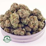 Buy Cannabis Tuna Kush AAA (Popcorn Nugs) MMJ Express Online Shop