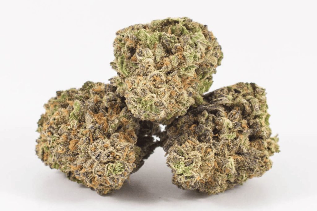 Explore the Duke Nukem strain in our review. Learn about its effects, flavours, THC levels, & why it's a top choice for sativa lovers in Canada.