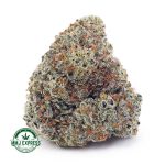 Buy Cannabis White Fire OG AAA at MMJ Express Online Shop