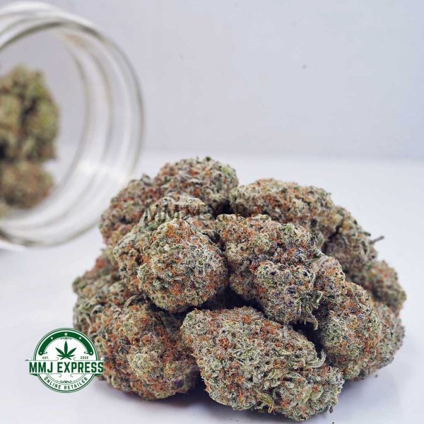 Buy Cannabis White Fire OG AAA at MMJ Express Online Shop