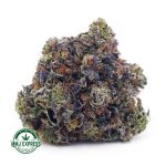 Buy Cannabis Platinum Pink Kush AAAA+, Craft at MMJ Express Online Shop