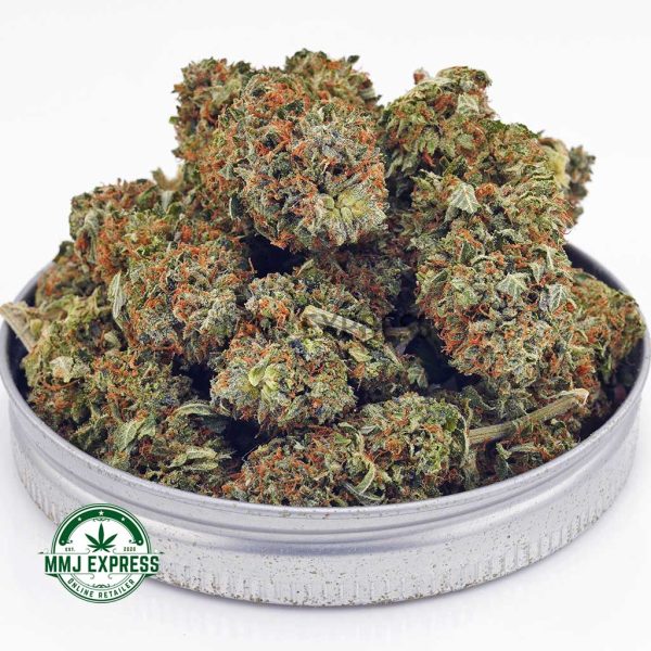 Buy Cannabis Northern Lights AAA at MMJ Express Online Shop